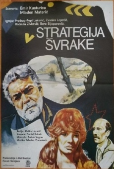 Strategija svrake on-line gratuito