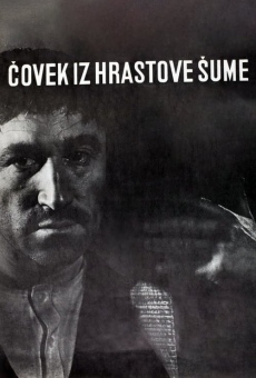 Covek iz hrastove sume