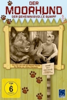 Ver película The Moorhound