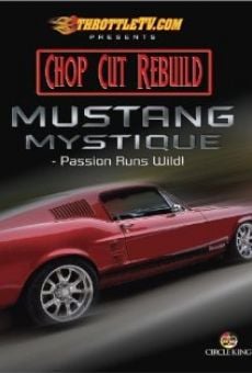 Watch The Mustang Mystique online stream