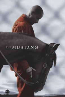 Ver película The Mustang