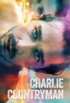 The Necessary Death of Charlie Countryman (2013)