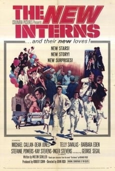 The New Interns en ligne gratuit