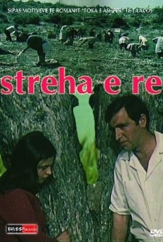 Streha e re online kostenlos