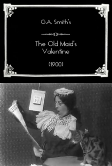 The Old Maid's Valentine (1900)