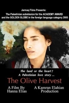 The Olive Harvest online kostenlos