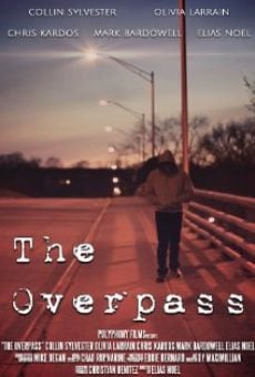 Watch The Overpass online stream