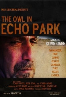 The Owl in Echo Park