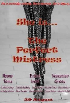 Watch The Perfect Mistress online stream