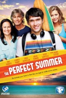 Ver película The Perfect Summer