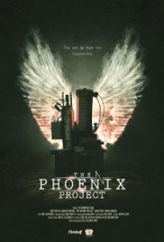 The Phoenix Project online