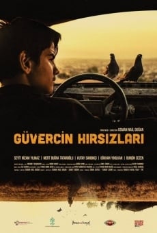 Güvercin H?rs?zlar? online streaming