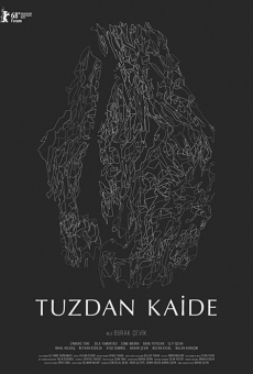 Tuzdan Kaide en ligne gratuit