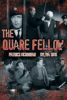 The Quare Fellow en ligne gratuit