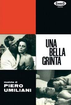 Una bella grinta online streaming