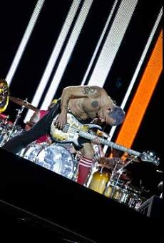 The Red Peppers online streaming