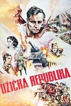 Ver película The Republic of U?ice