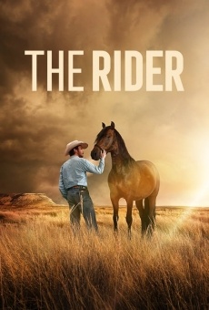 Ver película The Rider