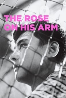 Ver película The Rose on His Arm