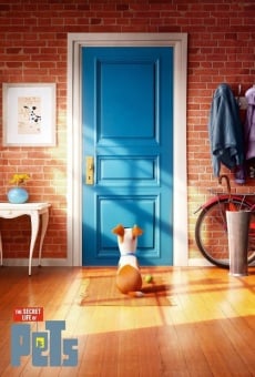 Ver película The Secret Life of Pets