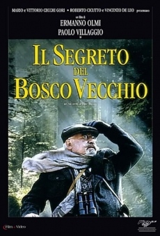 Il segreto del bosco vecchio streaming en ligne gratuit