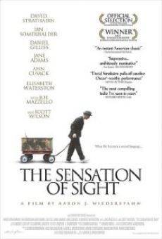 The Sensation of Sight on-line gratuito