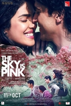 Watch The Sky Is Pink online stream