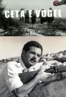 Çeta e vogël online streaming
