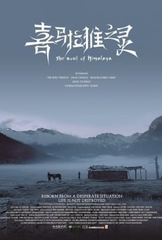 Ver película The Soul of Himalaya