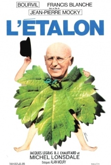 L'étalon