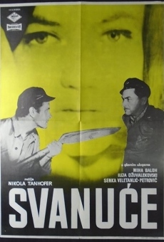 Svanu?e online streaming