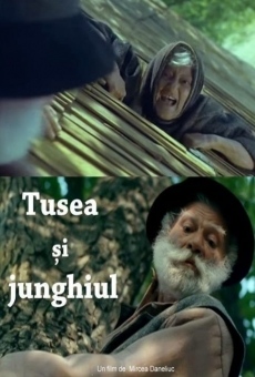 Tusea ?i junghiul