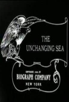 The Unchanging Sea online