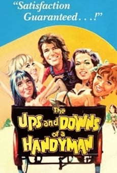 The Ups and Downs of a Handyman en ligne gratuit