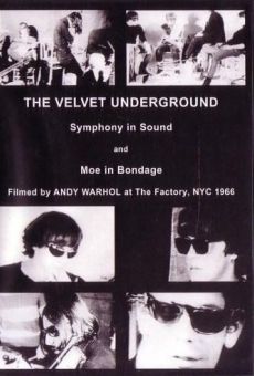 Ver película The Velvet Underground and Nico