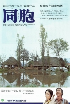The Village online streaming