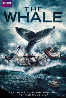 The Whale en ligne gratuit