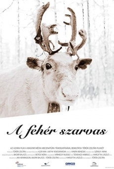 The White Reindeer online