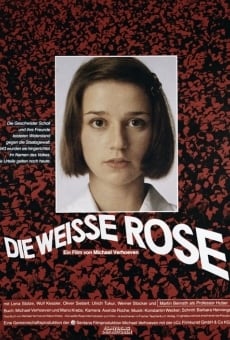 Die weiße Rose on-line gratuito