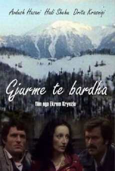 Gjurmët e barëdha