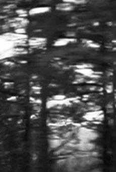 Watch The Wind in the Trees online stream