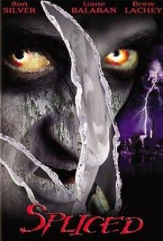 The Wisher online streaming