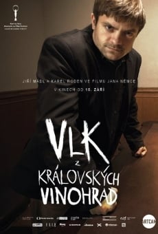 Vlk z královských Vinohrad gratis