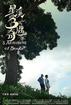 Three Adventures of Brooke on-line gratuito