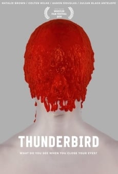 Thunderbird streaming en ligne gratuit