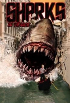 Shark in Venice Online Free