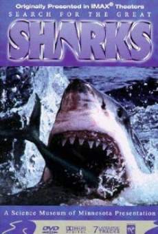 Search for the Great Sharks online kostenlos