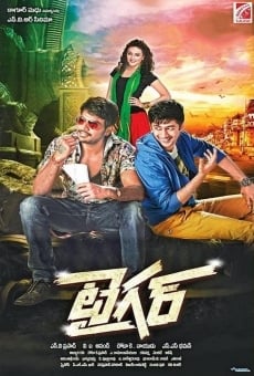 Tiger online streaming