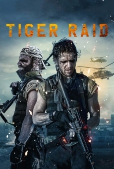 Tiger Raid en ligne gratuit