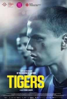 Tigers online free